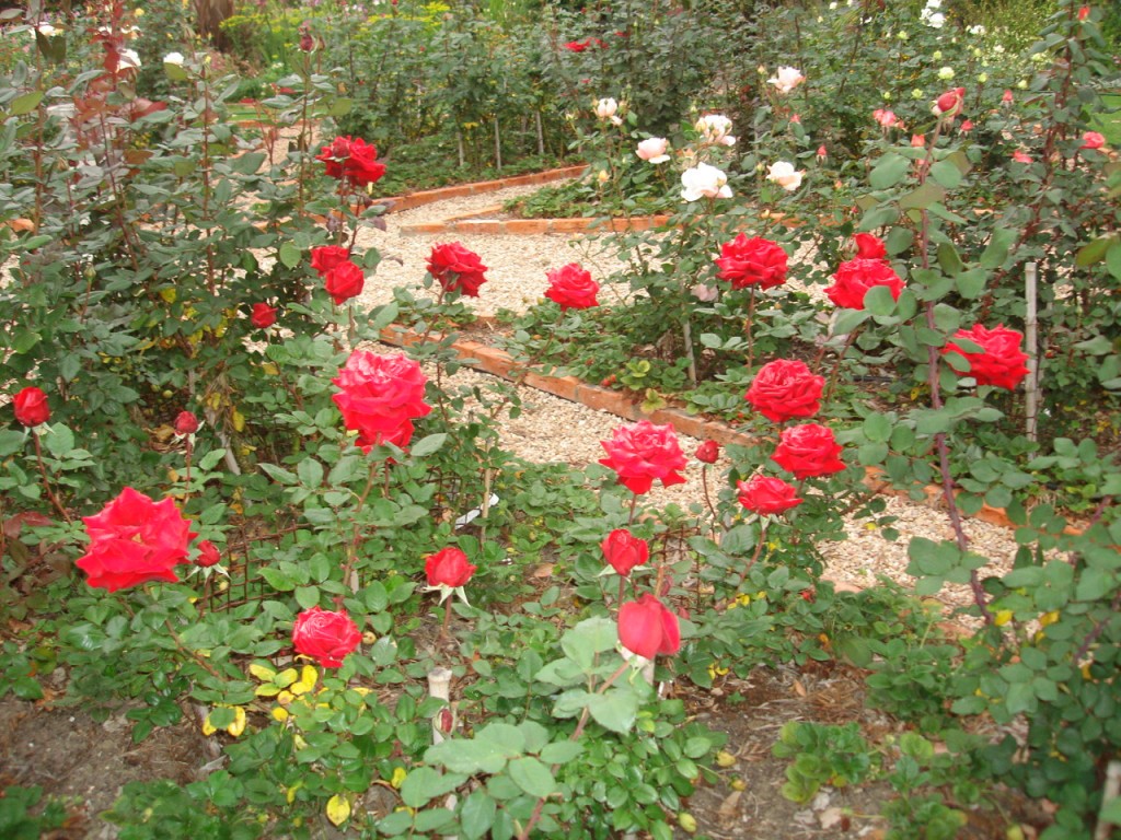 DSC05956-1024x768